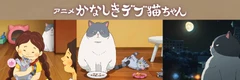 悲伤的肥肥猫