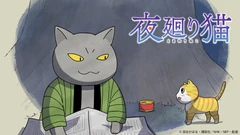夜巡猫