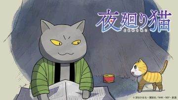 夜巡猫