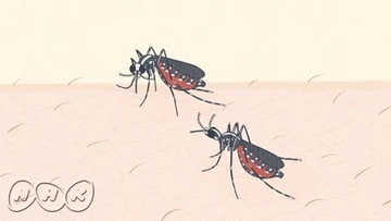 遺憾生物事典 第二季
